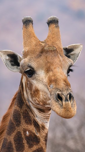 5K reactions · 68 shares | If you look closely, do you see that...