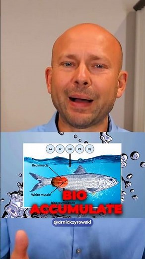 Mercury Poisoning From Sardines?
