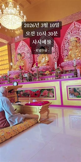 마음을 깨우는 시간,사시예불. #사시예불 #불교 #buddhism #부처님 #buddha #명상 #meditation #기도 #힐링 #가족 #건강 #예불 #쇼츠 #shorts