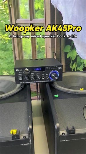 AK45 Pro Amplifier: Home Music, Movies & Karaoke Power