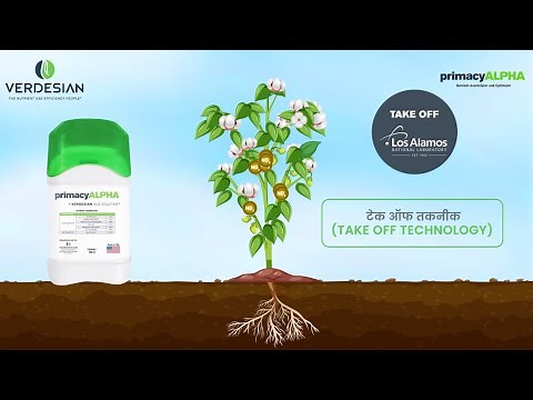 primacyALPHA | NUE Technology | Verdesian Life Sciences, USA | Verdesian Asia | Take Off