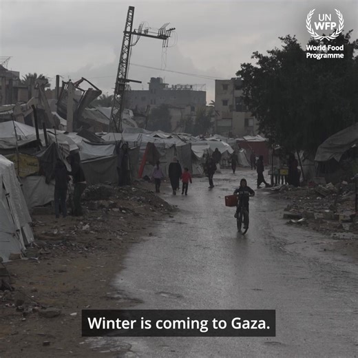 This winter, many families in Gaza are still deprived of food, shelter, and warmth. Donate now to help send food aid and other assistance to families Palestine. | World Food Programme