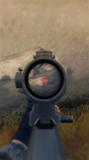 I love it when they run in Stalker Gamma #shorts #stalkergamma #gaming #stalker2