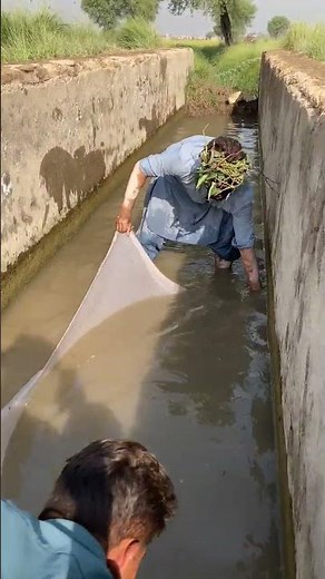 Dhurandhar akshaye khanna entry fa9la song #dhurandhar #akshayekhanna #viral #trending