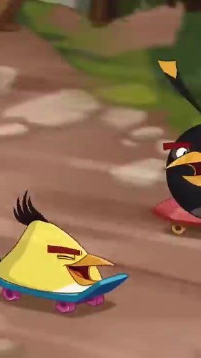 Remember to wear your protective gear! 😬 | Angry Birds