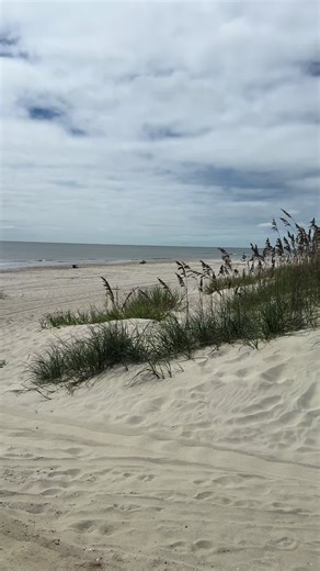 Exploring Dream Beach Homes with Family