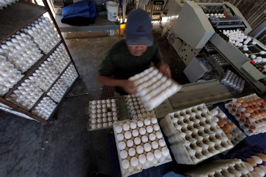 Why a deadly strain of bird flu is making egg prices soar nationwide