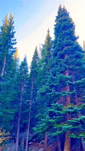 Colorado vs North Carolina: Comparing US States 📸🎥🇺🇸 #shorts