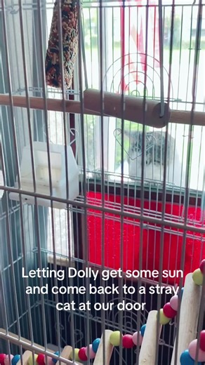 ꧁༒☬𝓐𝓵𝓲𝓬𝓲𝓪☬༒꧂ (@aliciacook84)’s videos with Somebody's Watching Me - Rockwell