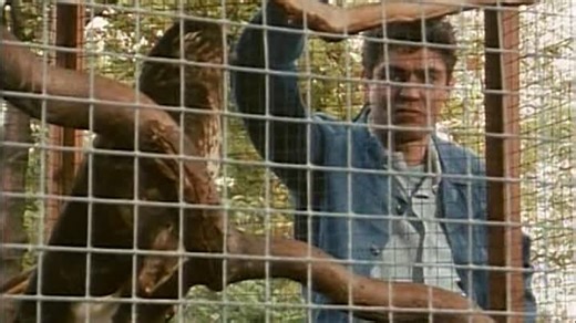 Mission casse-cou saison 03 épisode 06