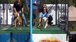We celebrated 🥳10 years of Dueling Dogs™ this year, and incorporated Dueling into the DockDogs® World Championship for one combined Championship to determine the Worlds Best of all four disciplines. Check out this awesome 🎥 video that Jim Z of Precise Image Creations put together for this year's GPA's to celebrate 10 years of Dueling Fun! 🐾 | dockdogs