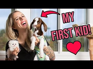 I'm a Baby Goat Mom! (5 Things to Know About Caring for Them!)