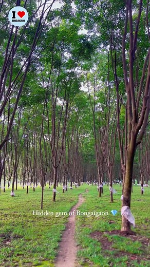 Hidden Gem of Bongaigaon 💎 | I Love Bongaigaon