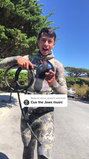 The Ultimate Shark Deterrent: Freedom7 Shark Shield