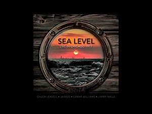 Sea Level Live in Chicago 1977