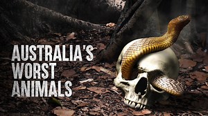 Australia's Deadliest Animals: How to Survive