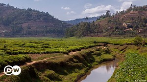 Das Rugezi Moor – Lebensader für Ruanda