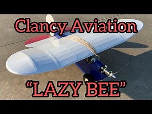 Lazy Bee by Clancy Aviation. Fun lil flyer.