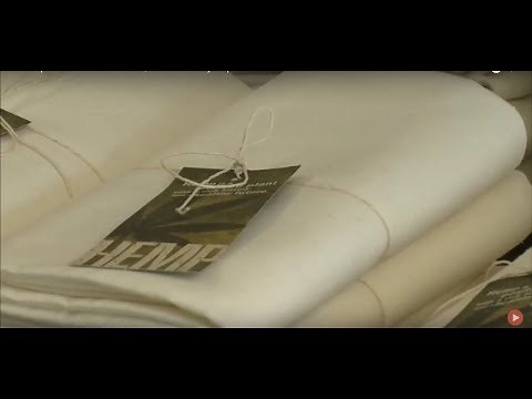 Is Hemp Better Than Cotton? | Documentary Clip