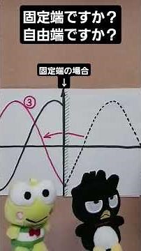 #高校物理 303 #固定端反射 #自由端反射 #縦波 #横波