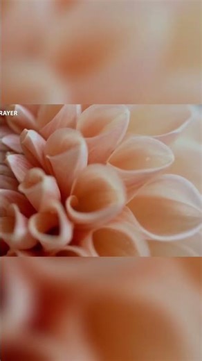 He Knows: Unveiling the Intimate Details of Your Soul #shorts