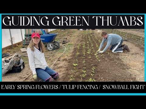 EARLY SPRING PLANTING / TULIP FENCING / SNOWBALL FIGHT