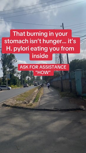 That burning sensation in your stomach is not always caused by hunger. In many cases, it can be a sign of H. pylori, a harmful bacterium that lives in the stomach lining. H. pylori damages the protective layer of the stomach, allowing acid to irritate the tissues, which leads to burning pain, discomfort, bloating, nausea, and sometimes ulcers. The danger is that it often works silently symptoms may come and go, causing people to ignore them while the infection continues to worsen. If left untrea