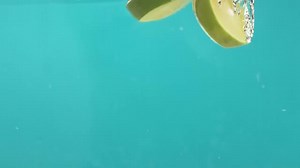 Free Cockatiel Videos: 4K & HD | No Watermark | Download Now