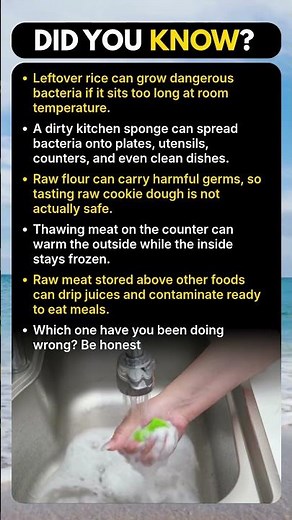 The Dirtiest Thing in Your Kitchen Isn’t What You Think