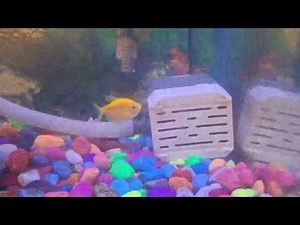 Aquarium fish tank Water pump