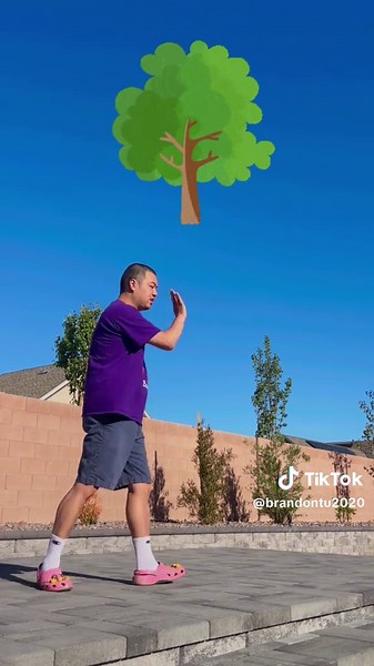 Look at this little nut tree. 🥜🌳 #davebensonphillips #adayfullofsurprisesandsongs