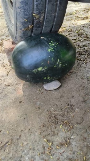 experiment car vs watermelon
