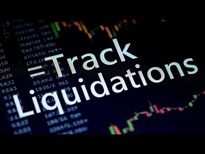 Dynamic Liquidation Tracking with AI