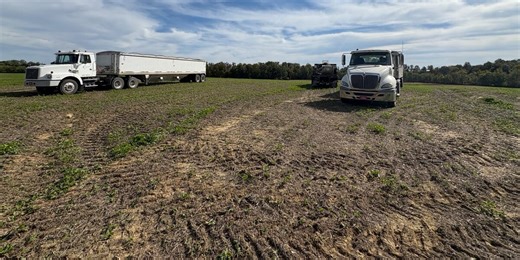 Tri-State soybean farmers face uncertain times as prices drop