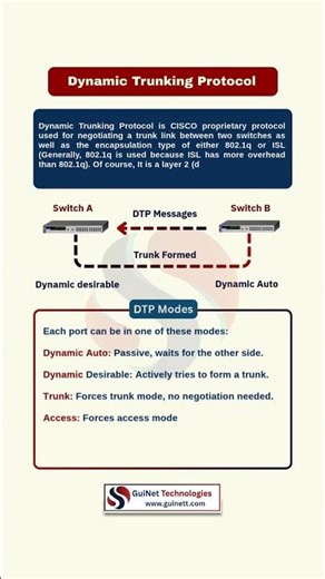 DTP Explained | Dynamic Trunking Protocol Basics