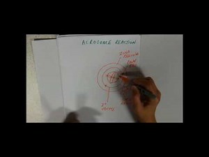 Sperm: Capacitation and the Acrosome reaction