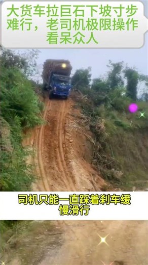 大货车拉巨石下坡寸步难行，老司机极限操作看呆众人