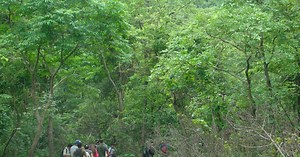 Upper Kanheri Trail