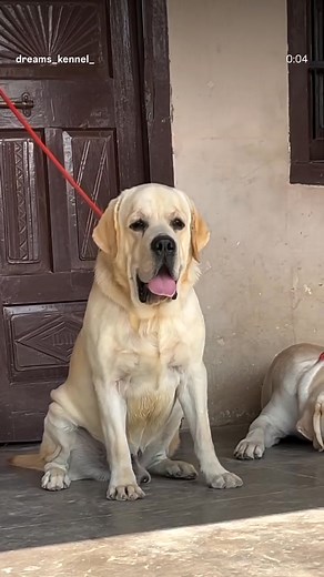 16K views · 846 reactions |  open for stud | Kammi Jaat | Facebook