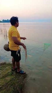 hirakud dam back side re jala pakei macha mara #fishing #fish #hirakuddam#shorts#macha