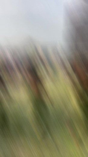 Wonderful ladies club outside for mr and mrs ogbidjara