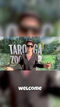 AUSTRALIA’S MOST FAMOUS ZOO - 14 THINGS NOT TO MISS AT TARONGA ZOO IN SYDNEY ‪@TarongaSydney‬