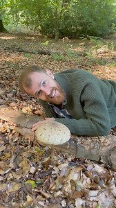 167K views · 3.8K reactions | Oh la belle Coulemelle 朗 Aussi appelée Lépiote élevée ou parasol. On mange son chapeau au délicieux goût de noisette   Pour en savoir plus sur les champignons, retrouvez nos formations en ligne ici : https://www.lechemindelanature.com/ | Le Chemin de la Nature | Facebook