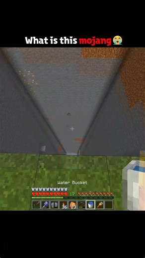 Minecraft moment...😅