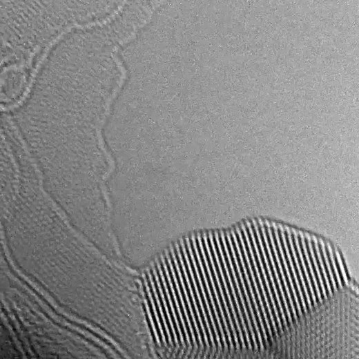 Au Atoms in Transmission Electron Microscope