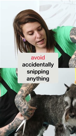 Do You Know How to Use Shears Safely