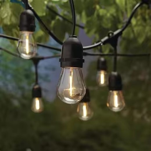 Warm White Filament Bulb String Decorative LED Lights (10 W) - Pesca Price - Buy Online at Best Price in India