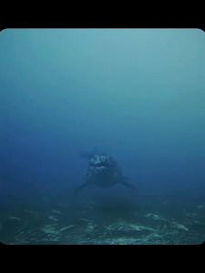 26K views · 603 reactions | Apart from the Hoffmannosaurus, which was once the dominant species, could you tell me who else could be regarded as the deep-sea ruler in the prehistoric period?#animals #prehistoric #animalsworld #documentary #dinosaur | bxkjxxxx | Facebook