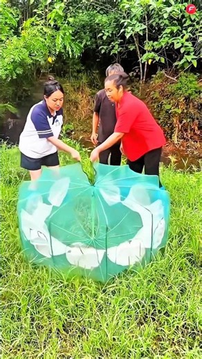 #jaidmeel #shorts #funny