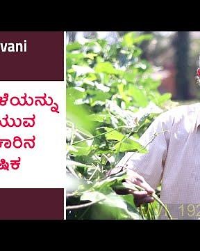 ಮಿಶ್ರ ಬೆಳೆಯನ್ನು ಬೆಳೆಯುವ ಅಜೆಕಾರಿನ ಕೃಷಿಕ | Udayavani